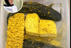 Viral! Bagikan Menu MBG Lele Marinasi Mentah, Berujung SPPG Ditutup