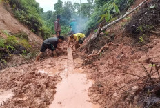 Enam Program Prioritas Kaur 2026 Disahkan,  Tanjung Aur Minta Jatah Perbaikan Jalan!