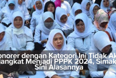 Honorer dengan Kategori Ini Tidak Akan Diangkat Menjadi PPPK 2024, Simak di Sini Alasannya