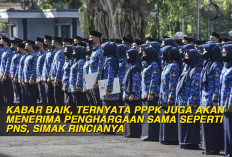 Kabar Baik, Ternyata PPPK Juga Akan Menerima Penghargaan Sama Seperti  PNS, Simak Rincianya