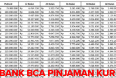 Apakah di Bank BCA Bisa Pinjam KUR Tanpa Jaminan? Ternyata Ini Jawabannya! 