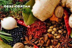 Indonesia Banyak Miliki Bahan Baku Obat, Bisa Jadi Ketahan Nasional, Berikut Penjelasannya