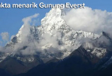 12 Fakta Menarik Gunung Everst Tertinggi di Dunia, Simak di Sini Yuk!   //