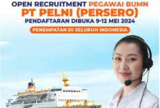 Lowongan Kerja Terbaru di PT Pelni Industri Pelayaran, Batas Waktu Hingga Februari 2025, Minat Daftar Sekarang