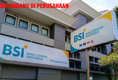 Loker Magang di Perusahaan BUMN BSI, Tamatan SMA SMK hingga S1, Buruan Daftar!