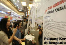 Peluang Kerja di Bengkulu 5 Posisi yang Dibutuhkan! Cek Perusahannya dan Kualifikasi yang Dibutuhkan