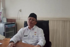 Harga Tiket Pesawat Bengkulu–Jakarta Melonjak, Pemprov : Lonjakan Bersipat Sementara
