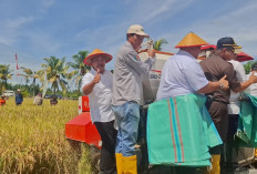 Dorong Kesejahteraan Petani, Pemkab Usulkan 10 Combine Harvester Gratis ke Pusat