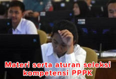 Aturan Baru dari MenPAN-RB Tentang Pelaksanaan Seleksi Kompetensi PPPK 2024 