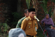 2026 Pemkab Optimis Bengkulu Selatan Jadi Lumbung Pangan Padi, Cek Alasannya di Sini!