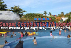 Sangat Cocok untuk Weekend! Desa Wisata Arga Jaya di Ujung Bengkulu 