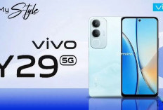 HP Vivo Y29 Modern 2025, Cocok Buat Teman Bermain dan layar IPS yang Cerah
