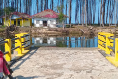 Pascadihantam Banjir, Aktivitas  Pantai Dakem Kini Mati Suri