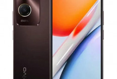 HP Vivo Terbaik di Pertengahan Tahun 2025, Paling Murah dan Manarik Buat Game