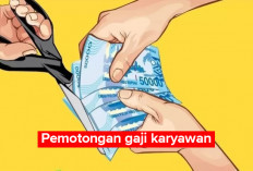 SEDANG HEBOH! Pemerintah Akan Memotong Gaji Karyawan, Ini Tanggapan Anggota Komisi IX DPR RI