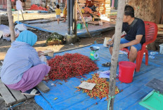 Agustus, Inflasi Tahunan 1,30 Persen,  Sektor Ini Menjadi Penyumbang Terbesar!