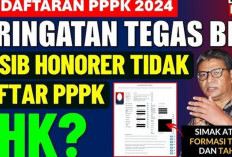 Periode Kedua Sebentar Lagi Dibuka, Honorer Kategori Ini Bisa di PHK, Jika Tidak Memperhatikan Ini