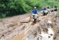 Harhubnas 2024 : Hujan Jalan Becek, Panas Jalan Berdebu