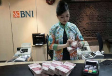 Penyaluran KUR Perbankan Mulai Bergerak di Awal 2026, Namun Belum Capai Kecepatan Maksimal