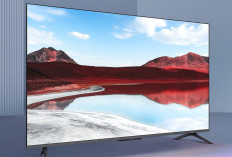 Xiaomi TV Terbaru 2025 Naik Daun, Kualitas Gambar HDR 4K, Laku Keras di Toko Elektronik