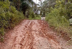 5 Kilometer Jalan Cinto Mandi Rusak Berat, Saat Hujan Lincin 