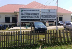 Jabatan Kepala Dukcapil Bengkulu Selatan Tunggu Restu Pusat, Siapa Terpilih? Ini Datanya!