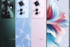 OPPO Reno 11F 5G : Layar AMOLED 120Hz, Kamera Jenih 