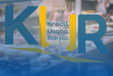 Info Penting Jangan Sampai Terlewatkan! Inilah Faktor Internal Penolakan Pengajuan KUR 2025!