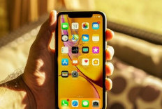 iPhone XR dan iPhone XS Bekas Masih Jadi Incaran, Ini Penting Dipertimbangkan Sebelum Membeli