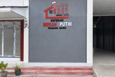 KDKMP Desa Padang Baru Wakili Kaur di Launching 10 Ribu KDKMP