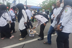 Pemprov Bengkulu Pastikan PPPK Paruh Waktu Tetap Digaji hingga Akhir 2026, Nasib Ditentukan Hasil Evaluasi