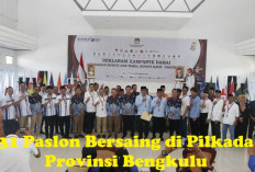 31 Paslon Bersaing di Pilkada Provinsi Bengkulu, Siapa Jawara Siapa Cundang?