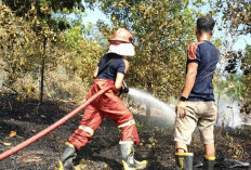 Musim Panas Kebakaran Lahan Rawan, Damkar: Warga Diminta Tak Asal Bakar 