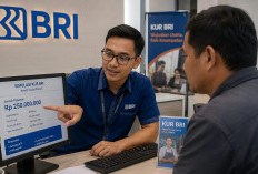 Jangan Langsung Ajukan KUR BRI! Cek Dulu Kuota dan Konsultasi agar Pengajuan Tidak Gagal