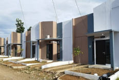 Rumah Subsidi Terbaru yang Nyaman dan Modern, Cek di Sini Rekomendasi Modelnya!