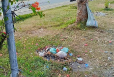 Sampah Plastik Bengkulu 141.996,05 Ton, Ini Berpeluang Menjadi Barang Ekonomis