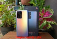 Ingin Cari Handphone Xiaomi Kualitas Juara Budget Rp 5 Jutaan, 5 Rekomensi Lengkap dengan Harganya