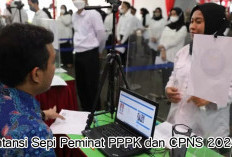 Bisa Jadi Pedoman Daftar CPNS dan PPPK 2024, Berikut Intansi Sepi Peminat, Ada 0 Pendaftar