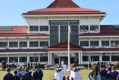 744 ASN Pensiun Menjadi Alasan Pemkab Bengkulu Selatan Usulkan 90 Formasi CPNS, Termasuk Dokter