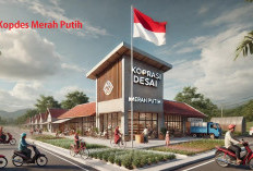 Isu Gaji Pengurus Kopdes Merah Putih Rp 8 Juta Dibantah, Simak Penegasan Pemerintah