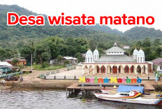 Desa Wisata Terbaik ini Punya Atraksi Unik, Berburu Kepiting hingga Memanggil Gelembung