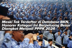 Meski Tak Terdaftar di Database BKN, Honorer Kategori Ini Berpeluang Besar Diangkat Menjadi PPPK 2024