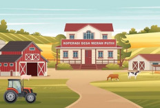 Koperasi Direncanakan Menerima Modal Awal Rp 3 M, Beresiko Fiskal