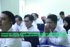 Honorer yang Tidak Termasuk dalam Database BKN Gagal Diangkat Menjadi PPPK 2024, Ini Penjelasannya