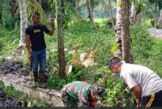 Jelang Penutupan TMMD, Satgas TMMD ke-124 Kodim 0408/BS dan Warga Tetap Gotong Royong