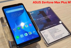 HP ASUS Zenfone Max Plus M1: Desain Elegan dan Fitur Lengkap