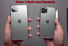 Benarkah iPhone 11 Masih Layak Digunakan di Tahun 2025? Berikut Penjelasan Selengkapnya