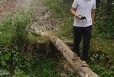 Warga Keluhkan Jalan Rusak, Wabup Turun ke  Lapangan, Pastikan Jalan Akan Diperbaiki