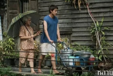 Film Thailand How To Make Millions Before Grandma Dies Makin Digandrungi, Jumlah Penonton Mengejutkan