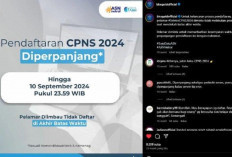 Ternyata Ini Biang Keroknya! BKN Resmi Memperpanjang Pendaftaran CPNS 2024 